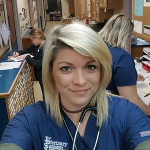 Meet your Posher, Morgan